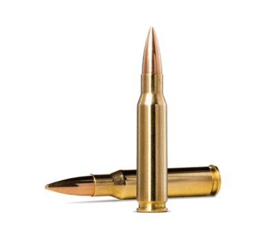 Norma Golden Target .308 Winchester 175gr