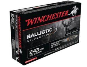 .223 Rem Winchester Supreme Ballistic Silvertip, BST, 95 Grain, 20 Rounds